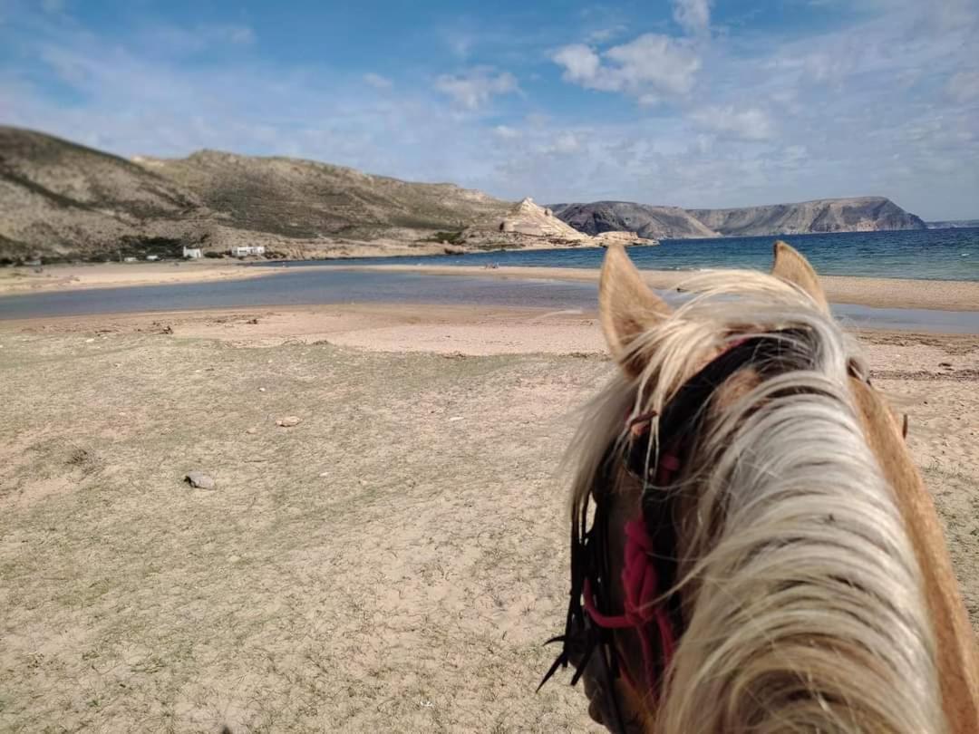 Caballo de Mar Frison San José Esterno foto